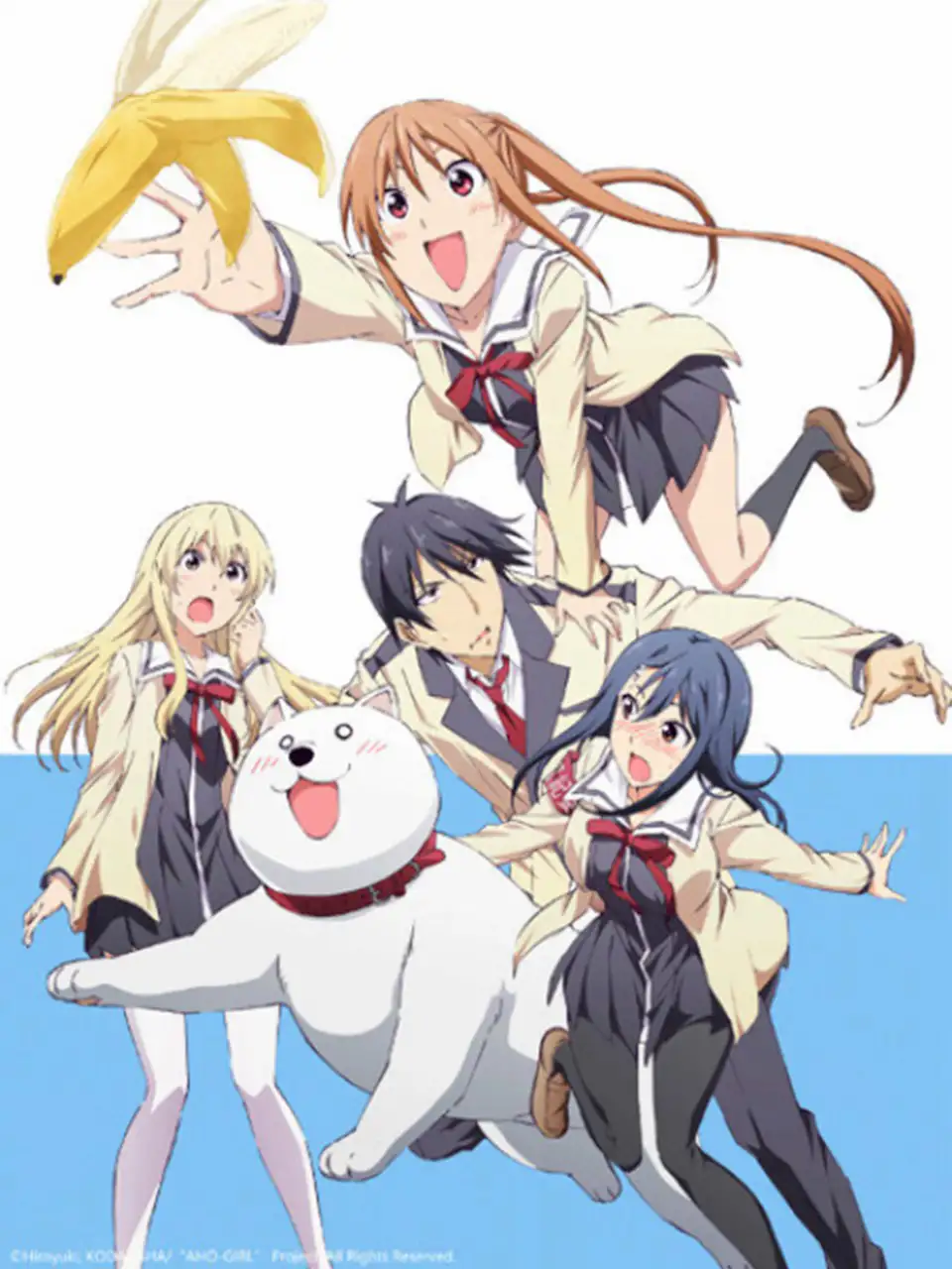 Cô Nàng Ngốc – Aho Girl